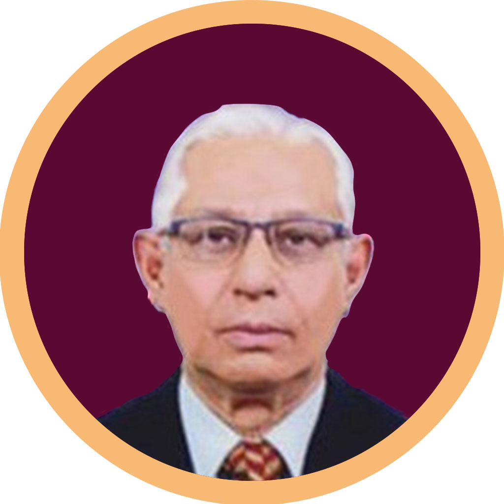 Prof. Dr. Abdus Sattar